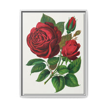Red Rose, Prince Camille De Rohan Lithograph - NOMADEN ART GALLERY
