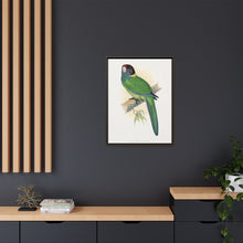 Lydon's Yellow-Naped Parrakeet | Vintage Bird Wall Art Print