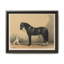 Orloffer (Orloff Horse) by Emil Volkers (1880) - An illustration of a black horse and a white dog - NOMADEN ART GALLERY