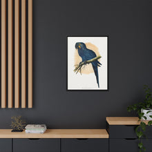 Hyacinthine Macaw (Anodorhynchus hyacinthinus) colored wood-engraved plate by Alexander Francis Lydon.