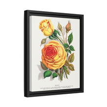lithograph from Botanical Specimen published by Rochester Lithographing - NOMADEN ART GALLERY