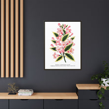 Pink flowers, Weigela lithograph (1900)
