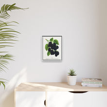 Snyder Blackberry lithograph from Botanical Specimen published by Rochester Lithographing