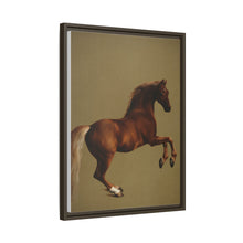 Whistlejacket es una pintura al óleo sobre lienzo de alrededor de 1762 que muestra el caballo de carreras del marqués de Rockingham, encabritado sobre un fondo blanco.