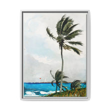 Palm Tree, Nassau (1898) by Winslow Homer - NOMADEN ART GALLERY