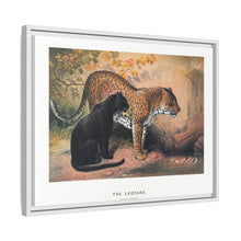 The Leopard from Zoological sketches (1861-1867) by Joseph Wolf and Philip Lutley Sclater