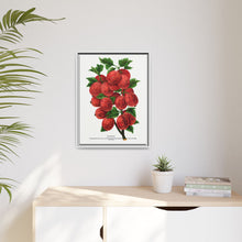Industry Gooseberry lithograph. Digitally enhanced from our own original 1900 edition plates of Botanical Specimen published by Rochester Lithographing
