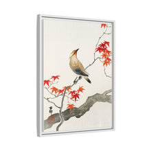 Japanese plague bird on maple (1900 - 1936) by Ohara Koson