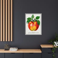 Wolf River Apple Lithograph | Vintage Botanical Wall Art Print