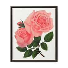 Pink Rose, La France Lithograph (1900) - NOMADEN ART GALLERY
