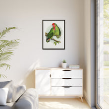 Rosy-Faced Love-Bird (Agapornis roseicollis) colored wood-engraved plate by Alexander Francis Lydon.