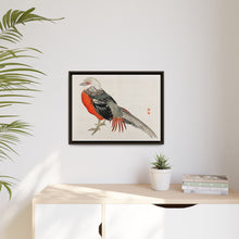 Japanese pheasant by Kōno Bairei (1844-1895)