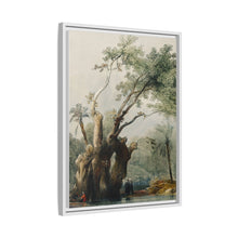 The holy tree of Metereah illustration by David Roberts (1796–1864)