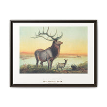 The Wapiti from Zoological sketches (1861-1867) by Joseph Wolf and Philip Lutley Sclater - NOMADEN ART GALLERY