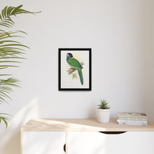 Lydon's Yellow-Naped Parrakeet | Vintage Bird Wall Art Print