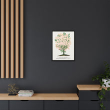 Purple Fringe tree lithograph. Digitally enhanced from our own original 1900 edition plates of Botanical Specimen published by Rochester Lithographing