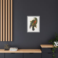 Mountain Parrot (Nestor notabilis) colored wood-engraved plate by Alexander Francis Lydon