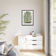 Hardy Magnolia tree lithograph. Digitally enhanced from our own original 1900 edition plates of Botanical Specimen published by Rochester Lithographing