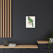 Lydon's Yellow-Naped Parrakeet | Vintage Bird Wall Art Print
