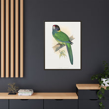 Lydon's Yellow-Naped Parrakeet | Vintage Bird Wall Art Print