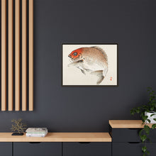 Tai (Red Seabream) fish by Kōno Bairei
