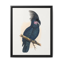 Great Black Cockatoo (Probosciger aterrimus) colored wood-engraved plate by Alexander Francis Lydon - NOMADEN ART GALLERY