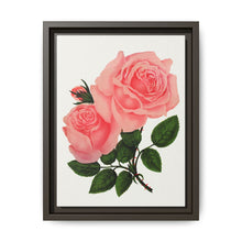 Pink Rose, La France Lithograph (1900) - NOMADEN ART GALLERY