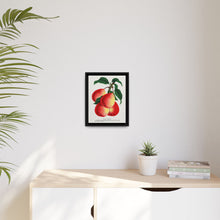 Vermont Beauty pear lithograph. Digitally enhanced from our own original 1900 edition plates of Botanical Specimen published by Rochester Lithographing - NOMADEN ART GALLERY