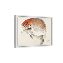Tai (Red Seabream) fish by Kōno Bairei