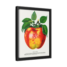 Wolf River Apple Lithograph | Vintage Botanical Wall Art Print
