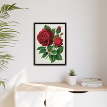 Red Rose, Prince Camille De Rohan Lithograph