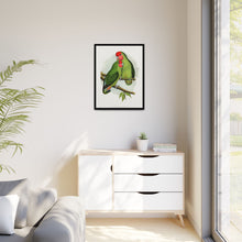 Rosy-Faced Love-Bird (Agapornis roseicollis) colored wood-engraved plate by Alexander Francis Lydon.