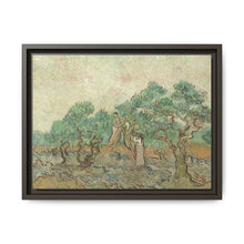 Vincent van Gogh's The Olive Orchard (1889) - Historical Art Canvas Print - NOMADEN ART GALLERY