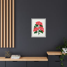 Paul's New Double Flowering Thorn lithograph. Digitally enhanced from our own original 1900 edition plates of Botanical Specimen published by Rochester Lithographing
