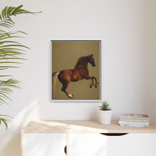 Whistlejacket es una pintura al óleo sobre lienzo de alrededor de 1762 que muestra el caballo de carreras del marqués de Rockingham, encabritado sobre un fondo blanco.
