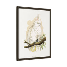 Goffin's Cockatoo (Cacatua goffiniana) colored wood-engraved plate by Alexander Francis Lydon.