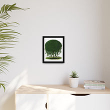 Kilmarnock Weeping Willow tree lithograph. Digitally enhanced from our own original 1900 edition plates of Botanical Specimen published by Rochester Lithographing - NOMADEN ART GALLERY