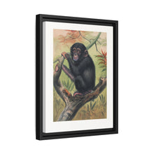 The Chimpanzee from Zoological sketches (1861-1867) by Joseph Wolf and Philip Lutley Sclater.