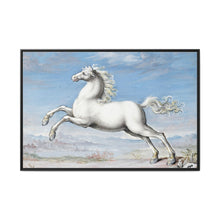 White horse (1552–1601) by Joris Hoefnagel - NOMADEN ART GALLERY