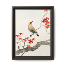 Japanese plague bird on maple (1900 - 1936) by Ohara Koson