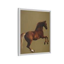 Whistlejacket es una pintura al óleo sobre lienzo de alrededor de 1762 que muestra el caballo de carreras del marqués de Rockingham, encabritado sobre un fondo blanco.