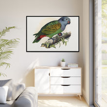 Red-Vented Parrot (Amazona martinicana) colored wood-engraved plate by Alexander Francis Lydon