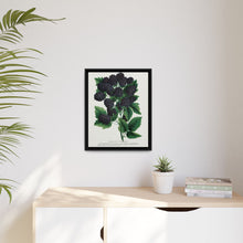 Wachusett Blackberry Lithograph | Vintage Botanical Wall Art