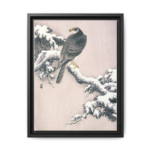 Goshawk on Snow-covered Pine Bough by Ohara Koson (1877–1945) - NOMADEN ART GALLERY