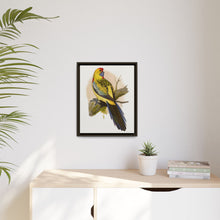 Lydon's Yellow-Rumped Parrakeet | Vintage Bird Wall Art Print