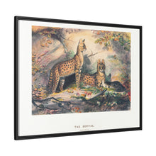 The Serval from Zoological sketches (1861-1867) by Joseph Wolf and Philip Lutley Sclater
