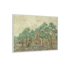 Vincent van Gogh's The Olive Orchard (1889) - NOMADEN ART GALLERY