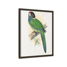 Lydon's Yellow-Naped Parrakeet | Vintage Bird Wall Art Print