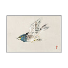 European herring gull by Kōno Bairei (1844-1895) - NOMADEN ART GALLERY