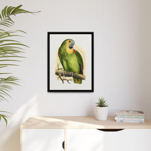 Blue-Fronted Amazon (Amazona aestiva) colored wood-engraved plate by Alexander Francis Lydon